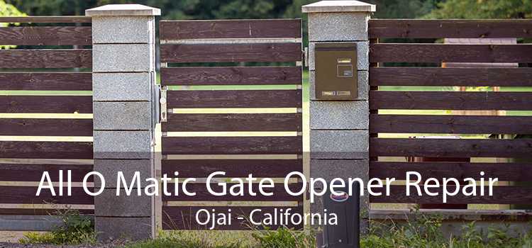 All O Matic Gate Opener Repair Ojai - California