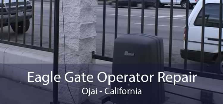 Eagle Gate Operator Repair Ojai - California