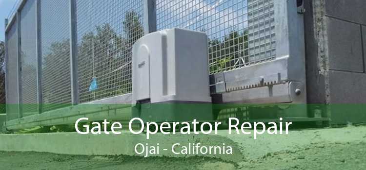 Gate Operator Repair Ojai - California