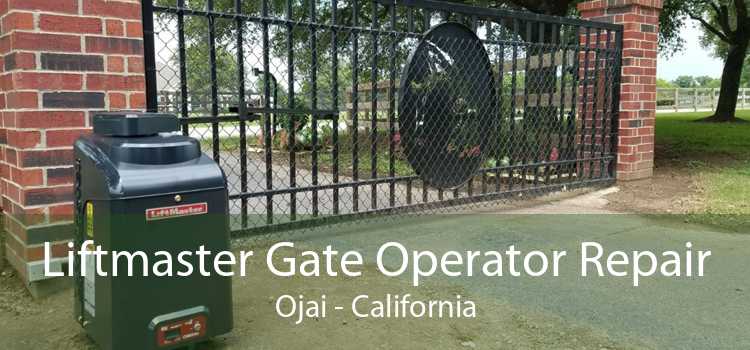 Liftmaster Gate Operator Repair Ojai - California