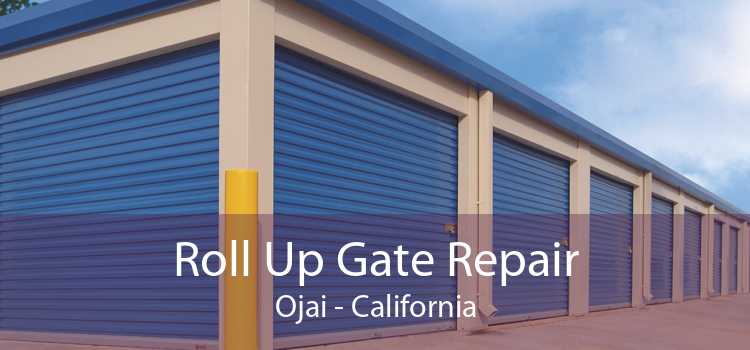 Roll Up Gate Repair Ojai - California